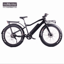 Elektrobike 8fun Motor elektrisches Fahrrad, 48V550W Heißer Verkauf Ebike